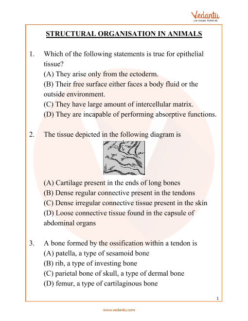 NEET Important Questions for Structural Organisation in Animals Free PDF