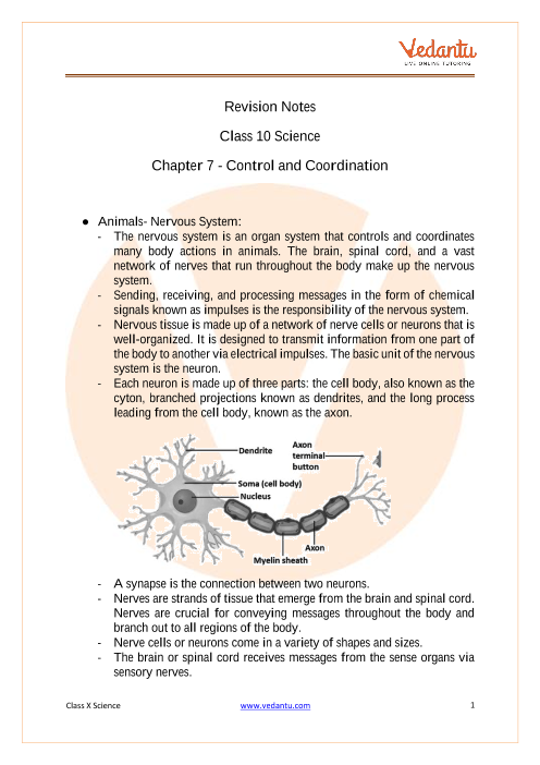Control and Coordination Class 10 Notes CBSE Science Chapter 7 [PDF]