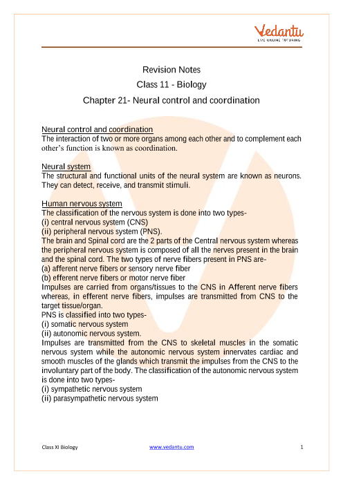Neural Control and Coordination Class 11 Notes CBSE Biology Chapter 21 [PDF]