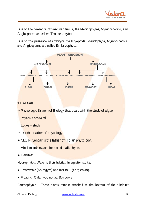 Plant Kingdom Class 11 Notes CBSE Biology Chapter 3 [PDF]