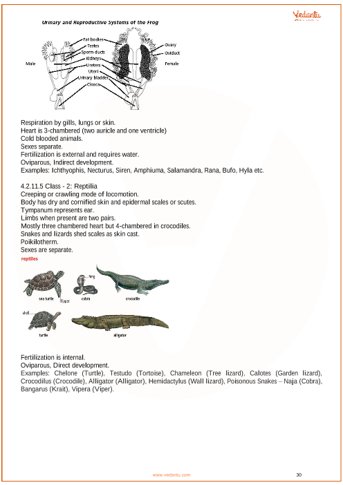 Animal Kingdom Revision Notes|Class 11 Biology Chapter 4