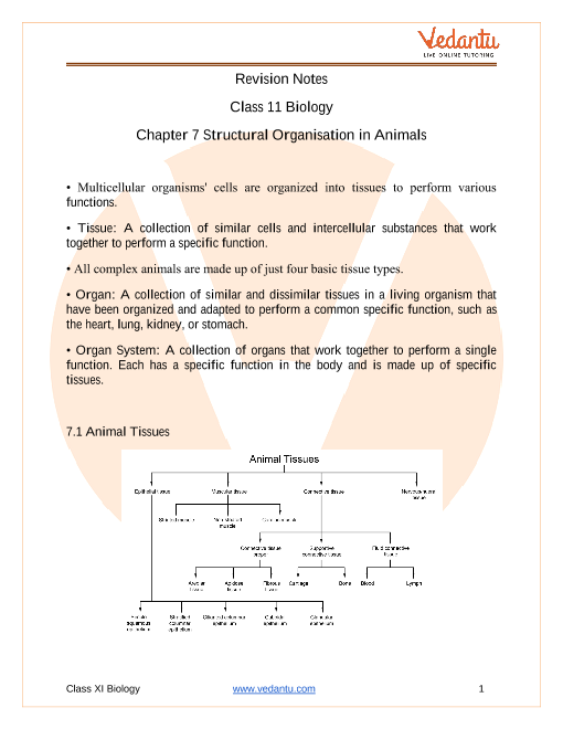 Structural Organisation in Animals Class 11 Notes CBSE Biology Chapter 7 [ PDF]