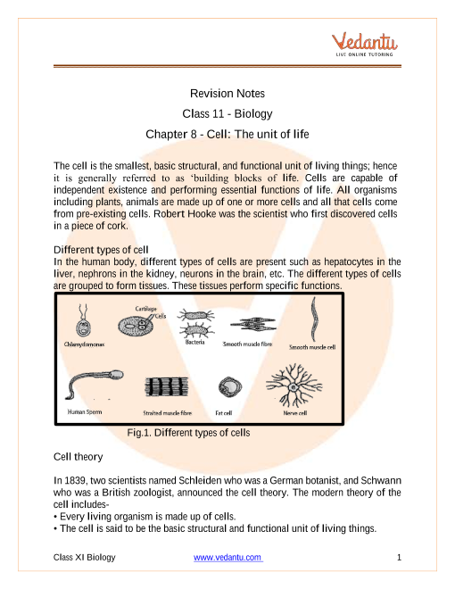 Cell the Unit of Life Class 11 Notes CBSE Biology Chapter 8 [PDF]