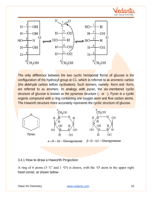 Classnotes Biomolecules Class 12 Notes Ppt www.vrogue.co