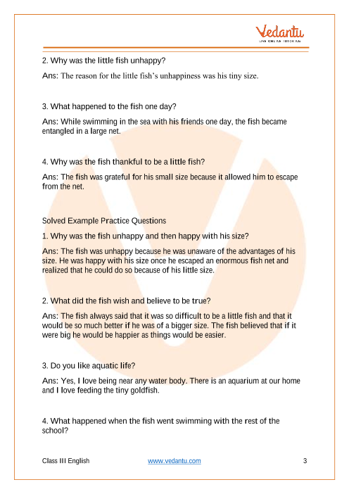 NCERT Solutions Class 3 English Unit 4 A Little Fish Story - Download PDF