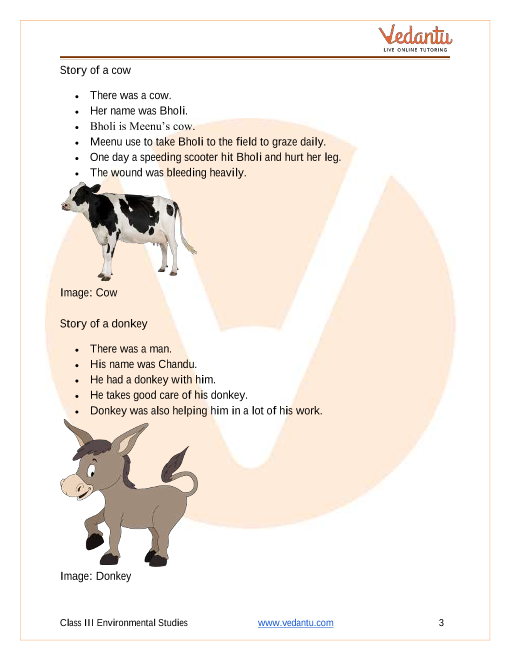 Class 3 EVS Notes on Chapter 19 Our Friends Animals