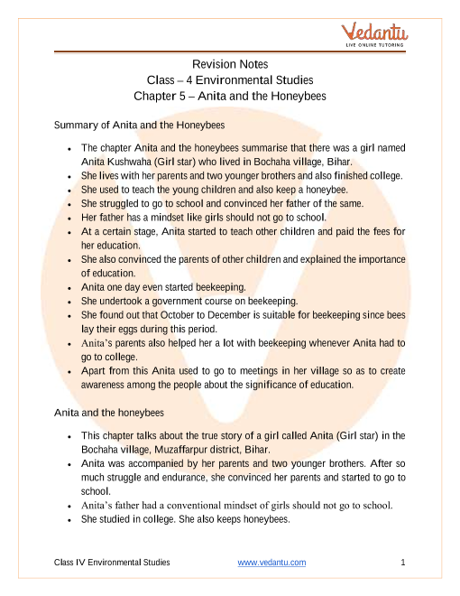 Anita and the Honeybees Class 4 Notes CBSE EVS Chapter 5 [PDF]