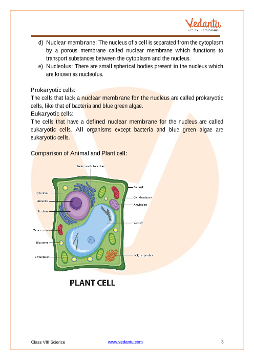 Cell - Structure, and Functions Class 8 Chapter 8 Science Notes - Revision  Notes FREE Pdf