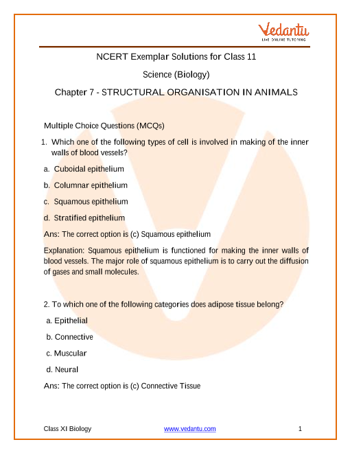 NCERT Exemplar for Class 11 Biology Chapter 7 - Structural Organisation in  Animals (Book Solutions)