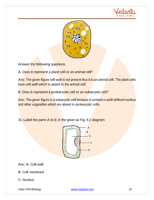 Ncert Solutions For Class 8 Science Chapter 8 Cell