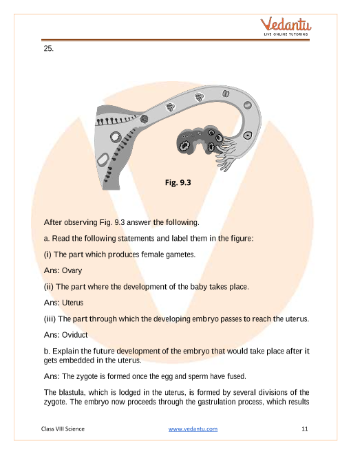 Ncert Book Class 8 Science Chapter 9 Reproduction In Animals Aglasem