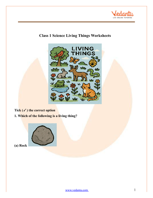 Grade 1 Science Worksheet Living Things And Nonliving Things
