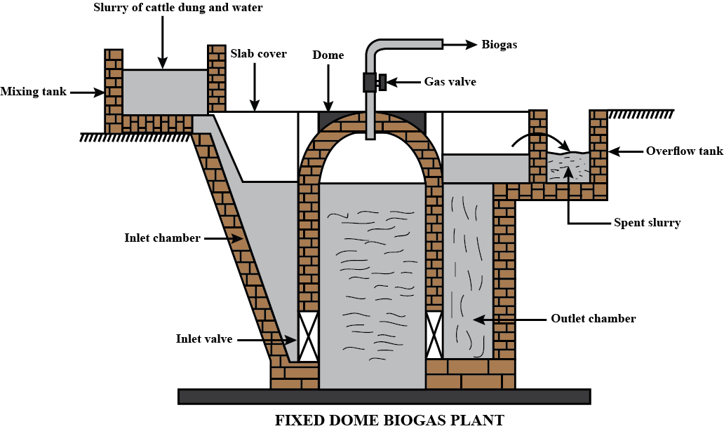 a simplified schematic diagram describing the biogas plant under the... |  Download Scientific Diagram