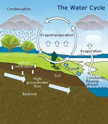 Draw a Fully Labelled Diagram of the Water Cycle and Explain Its Working  and Significance with Reference to the Diagram. - Geography | Shaalaa.com
