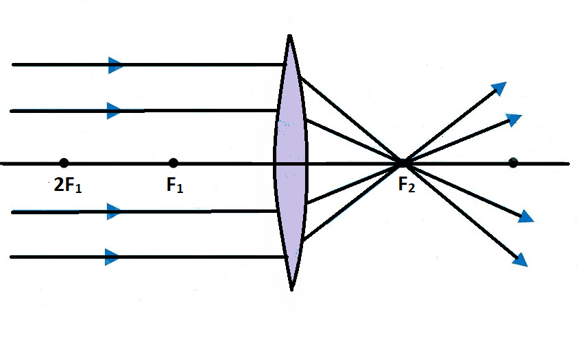 Draw Ray Diagram Showing The Image Formation By A Convex Class 12 Physics Cbse