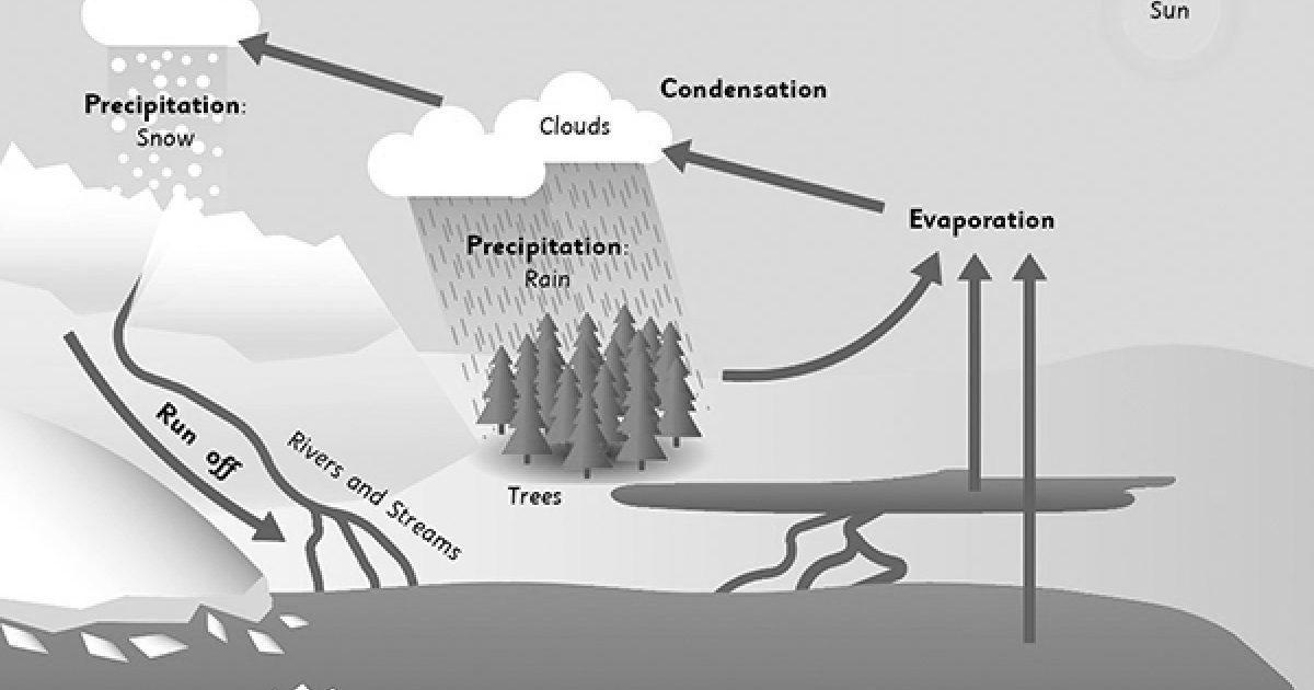 Make a Water Cycle Model - Weather Science for Kids