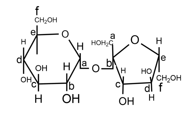 5.1.6: Cyclic Structures of Monosaccharides - Anomers - Chemistry LibreTexts