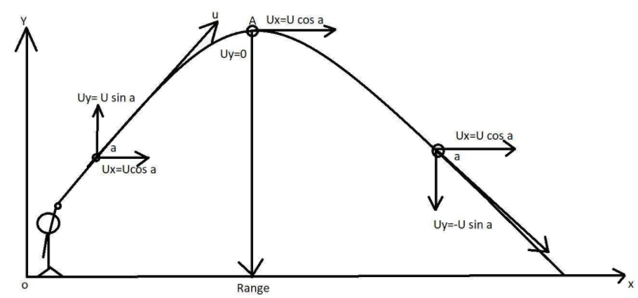 Projectile Motion Diagram With Equations