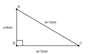 Find the area of the triangle with sides 5cm, 12 cm and 13cm.