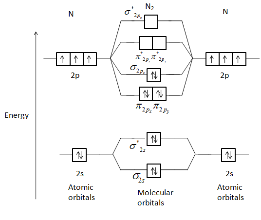 Draw a molecular orbital diagram of ${N_2}$ or ${O_2}$ with magnetic ...