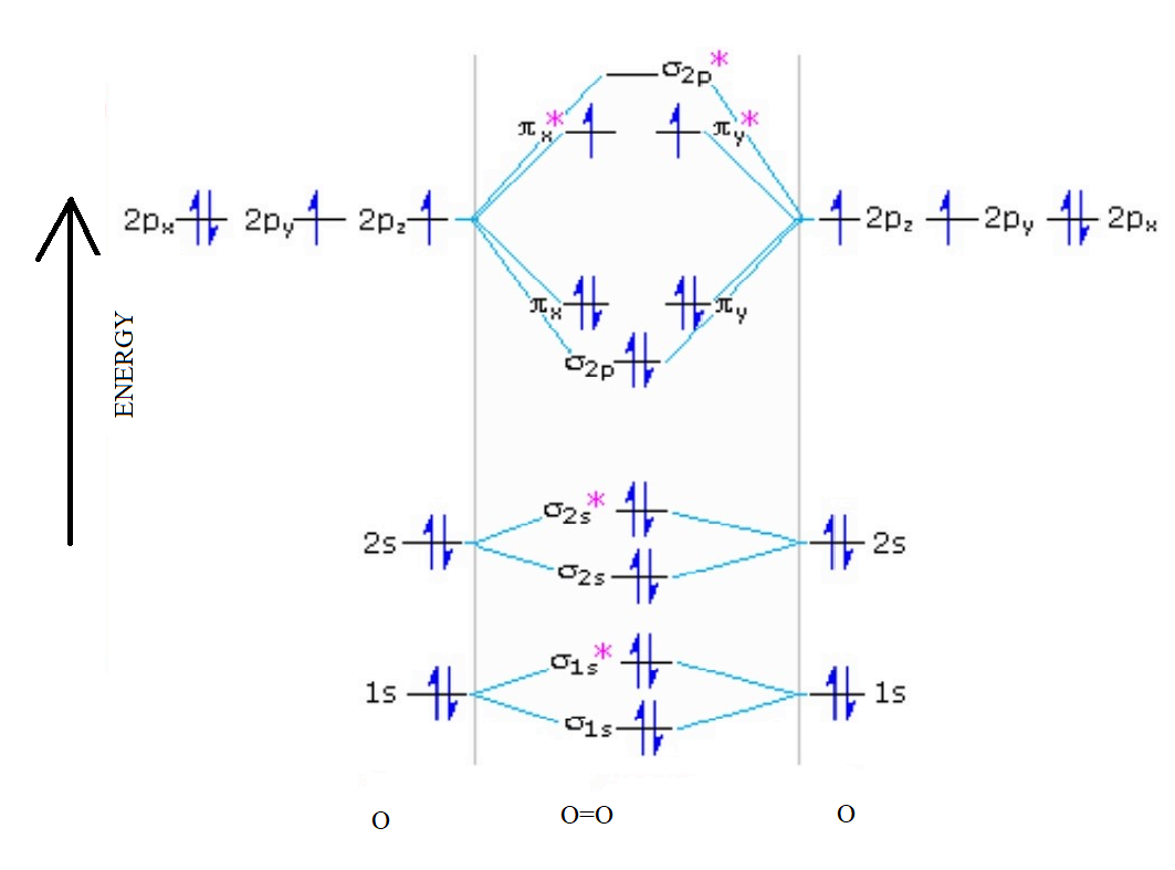 Oxygen Molecular Orbital Diagram