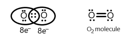 The octet rule is not valid for which of the following molecules?(A) $C ...