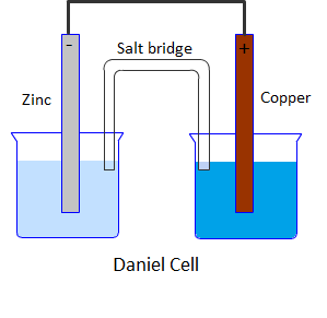 a Draw The Labelled Diagram Of Daniel Cell b Write The Half a Draw The Labelled Diagram Of Daniel Cell b Write The Half