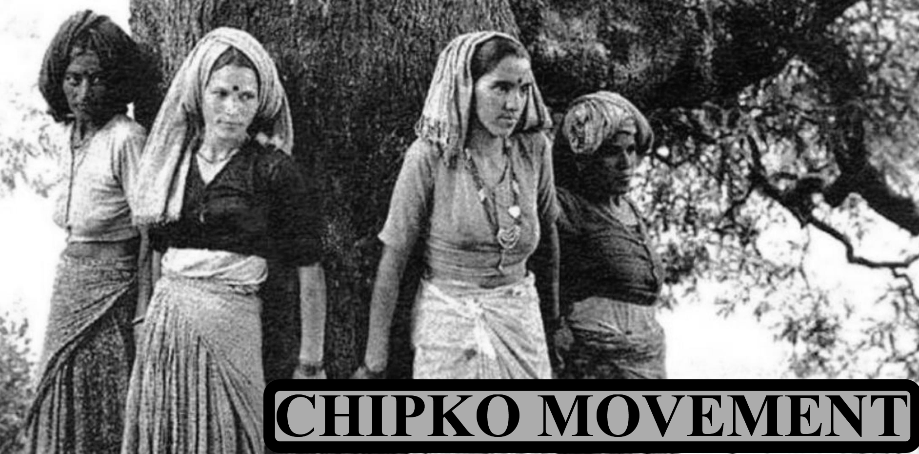 Write a short note on the Chipko movement.