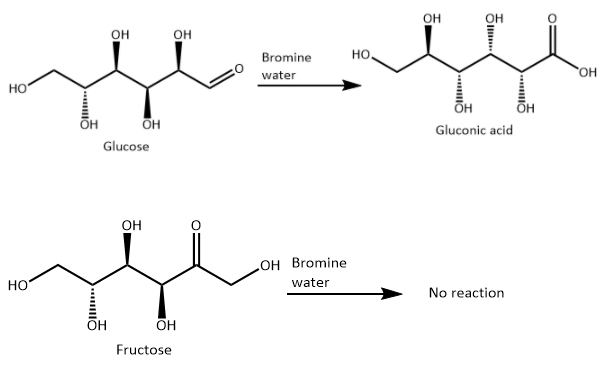 The Difference Between Glucose and Fructose