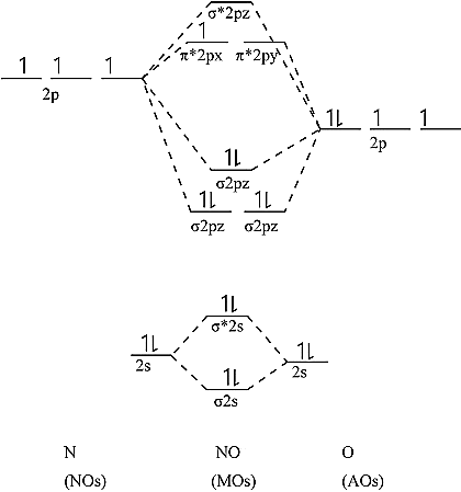 Using the MO diagram of NO, calculate the bond order. Compare it to ...