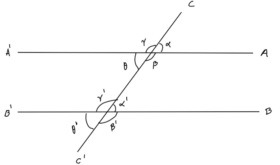If two lines are parallel we can conclude that A Alternate If two lines are parallel we can conclude that A Alternate