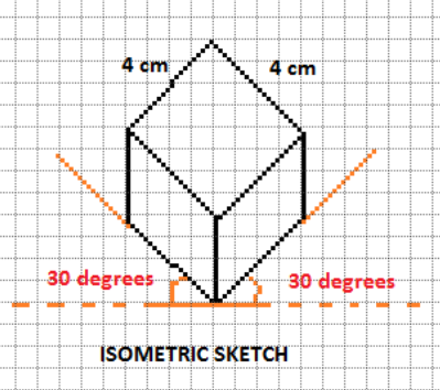 Three Cubes Each with 2 Cm Edge Are Placed Side by Side to Form a Cuboid  Sketch an Oblique Or Isometric Sketch of this Cuboid  Mathematics   Shaalaacom
