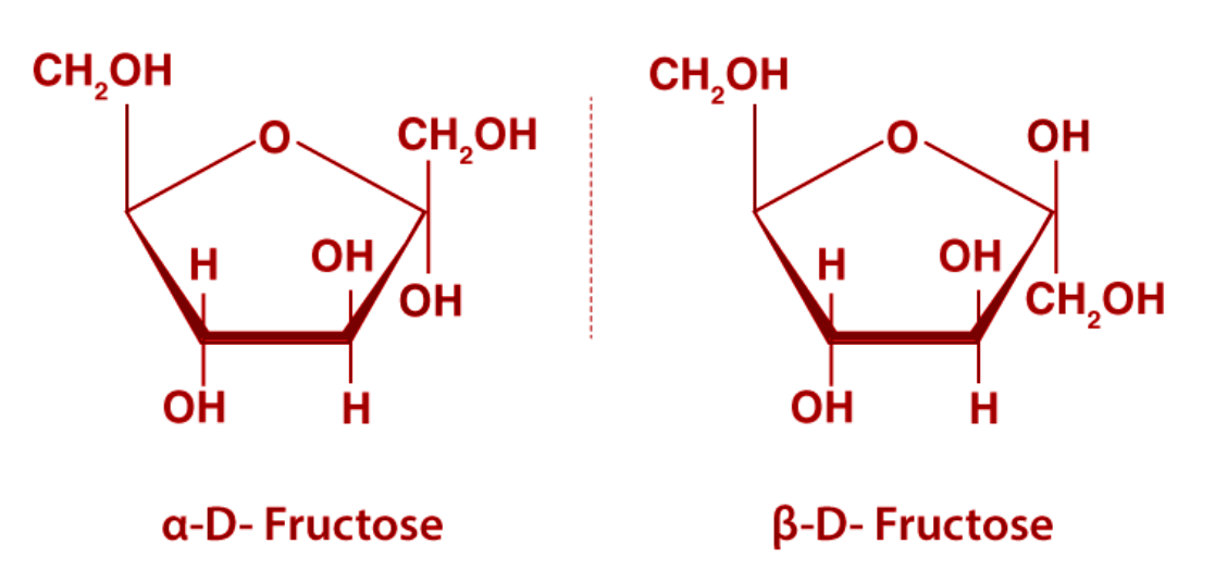 Фруктоза. Молекула фруктозы. Β-фруктоза. Фруктоза структура. Гидроксильные группы фруктозы