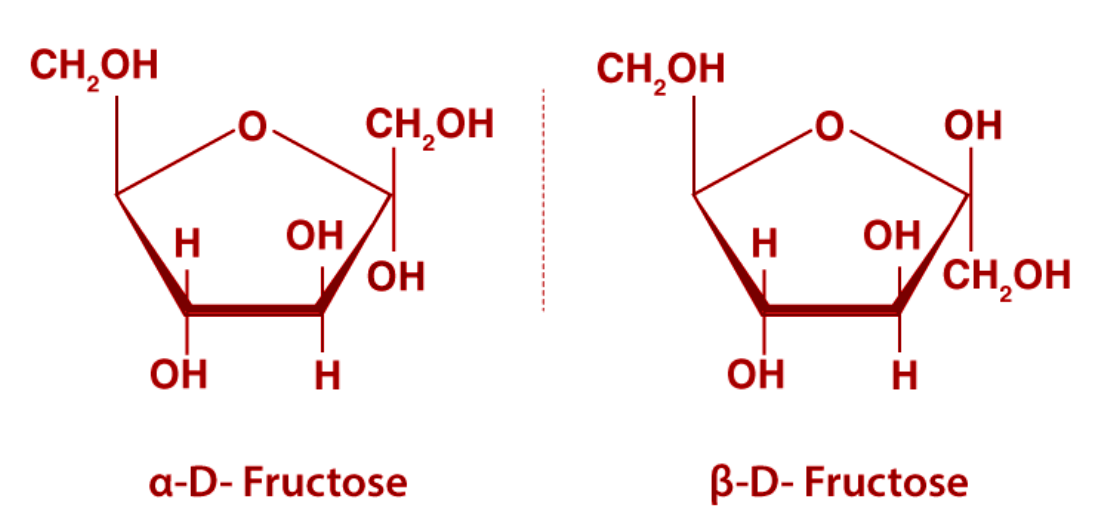 Fructose Molecular Structure Fructose Molecular Structure