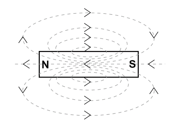 salvie Supplement Revisor The magnetic lines of force inside a bar magnet:(A) Are from north-pole to  south-pole of the magnet(B) Do not exist(C) Depends upon the area of  cross-section of the bar magnet(D) Are from