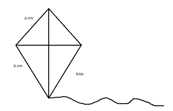 The Perimeter Of A Kite Is 40cm What Are The Lengt class 10 maths CBSE