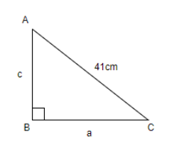 The hypotenuse of a right angled triangle is 41 cm and the area of the ...