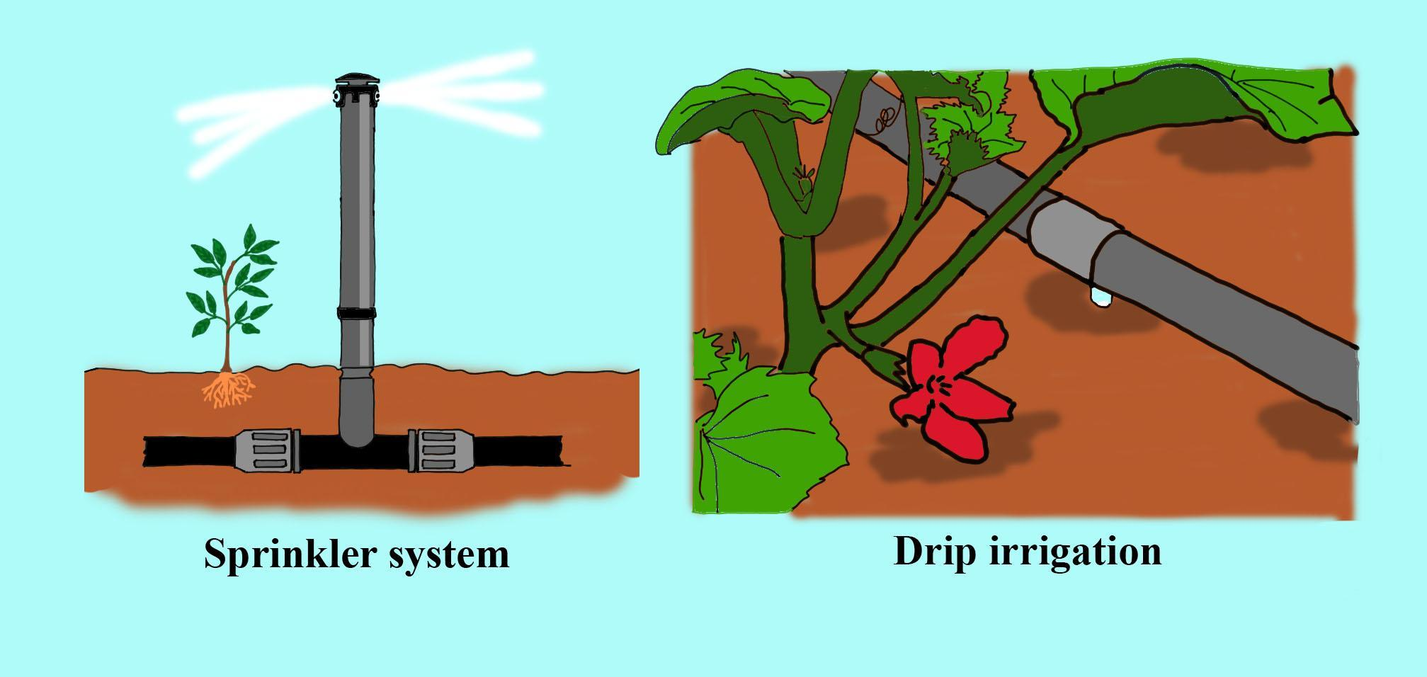 The modern method of irrigation is___________(a) Sprinkler system(b) Drip  system(c) Both A and B(d) None of these