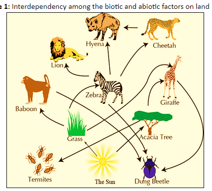 Organisms present around us are interdependent as . TrueB. False
