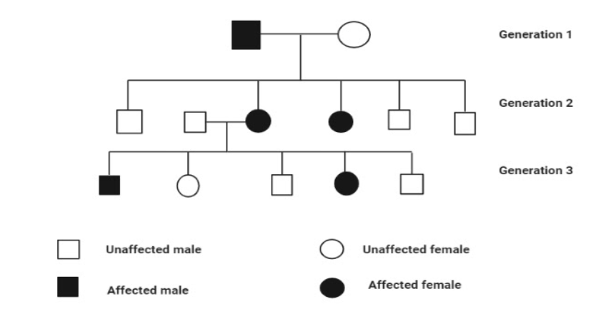 given-below-is-a-pedigree-chart-showing-the-inheritance-of-a-certain