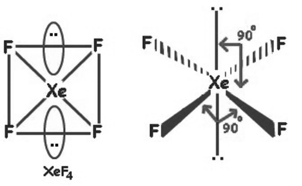 Discover 133+ draw the structure of xef4 best - seven.edu.vn