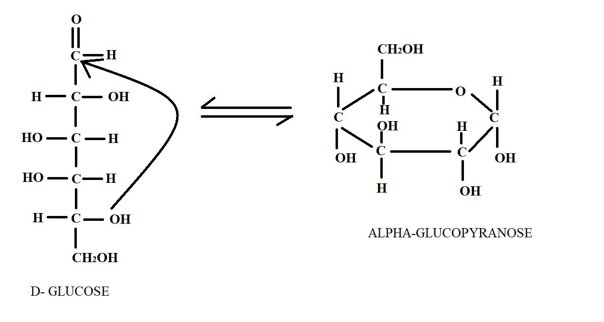 Update more than 71 monosaccharide ring structure super hot - vova.edu.vn