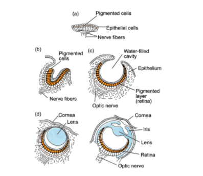 The Eye 10 - Wikipedia