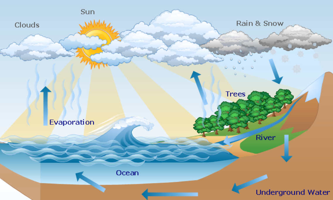 how to draw water cycle for school project - YouTube-saigonsouth.com.vn