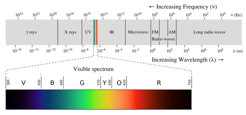 schweizisk båd Sweeten In the spectrum of visible light, the red light has_ _ _ _ wavelength and _  _ _ _ frequency.A) minimum, maximumB) maximum, minimumC) maximum, maximumD)  minimum, minimum