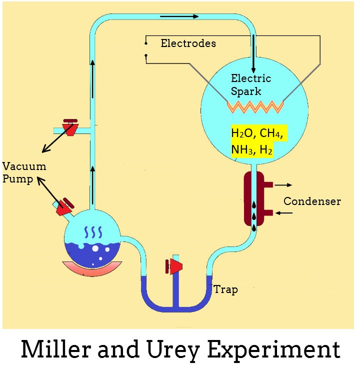 Harold Urey Experiment