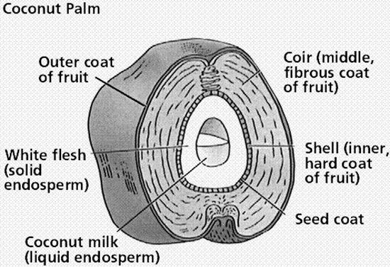 seo images