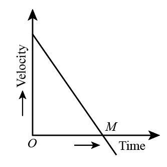 Negative Velocity Graph