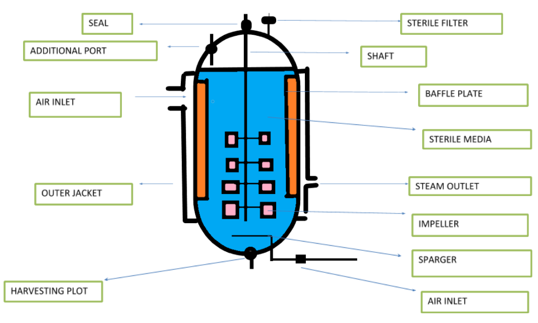 Draw A Neatlabelled Diagram Of Simply Stirred Tank Class Biology Cbse ...