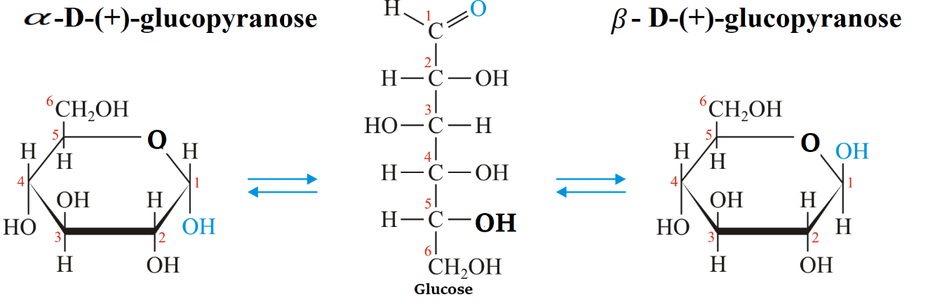 Explain what is meant by the pyranose structure of glucose.